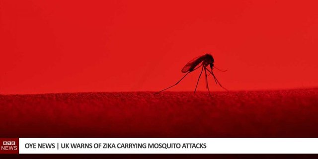 uk-warns-zika-attacking-mosquito-1050x525[1].jpg